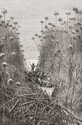 An Expedition Navigating the Lakes of Central Africa in the Late 19th Century, from 